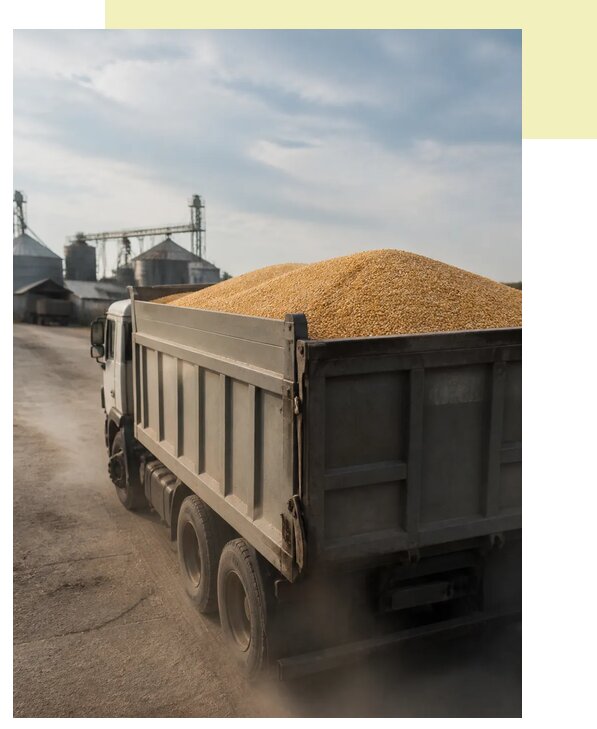 Перевозка сельхозпродукции навалом в Воркуту по цене от 3084 р. | Агросервис-Врк